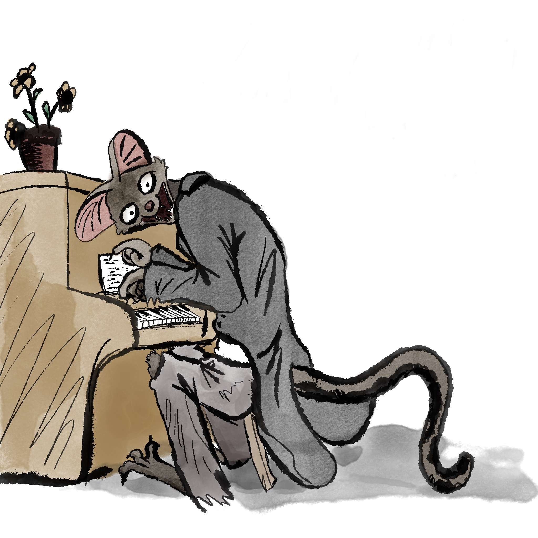 When the rat man plays his tune, then come we into your room...