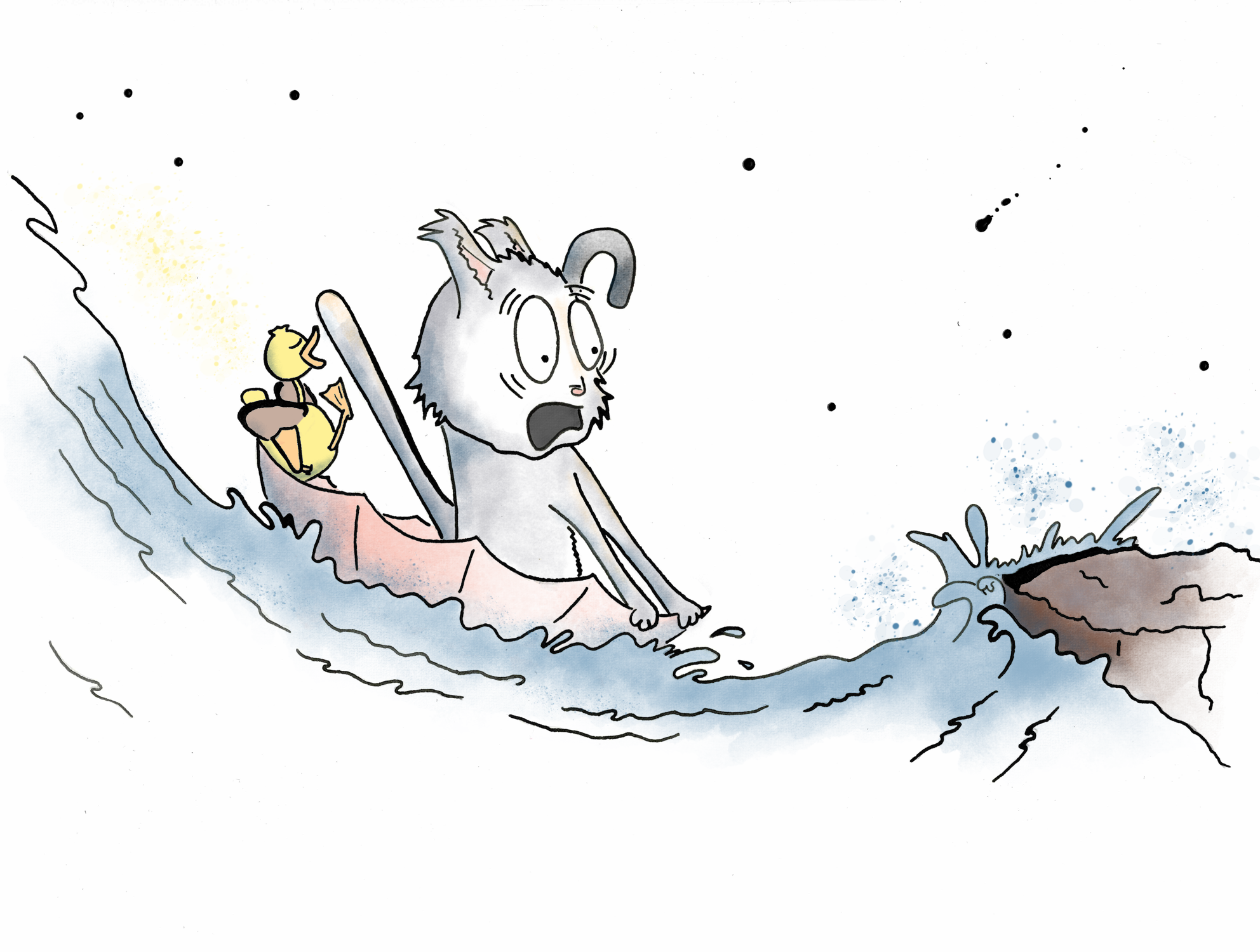 Duck and Cat ride in the rapids