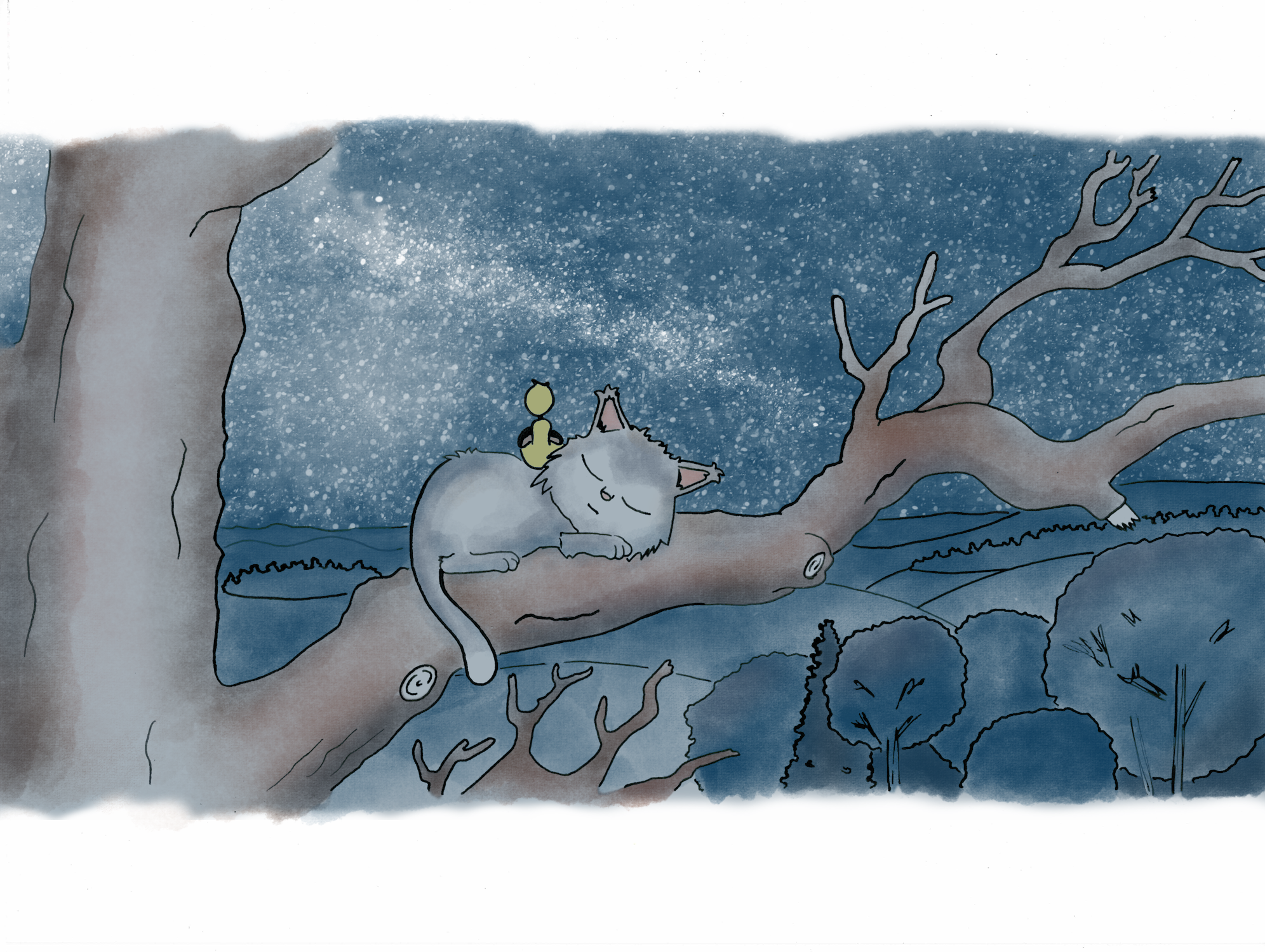 Duck looks at the stars